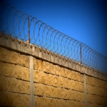 FENCES